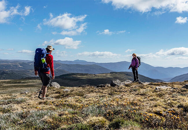 Alpine National Park Mt Nelse Falls Creek - Victoria Police Ski Club