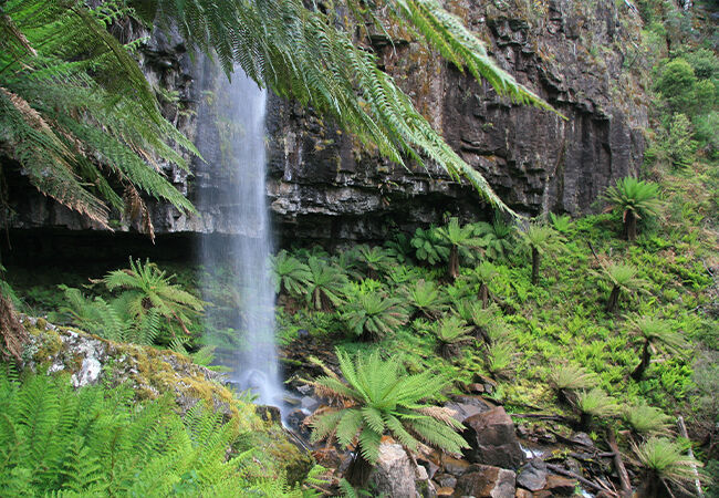Australis 4WD Adventures Tours in the High Country