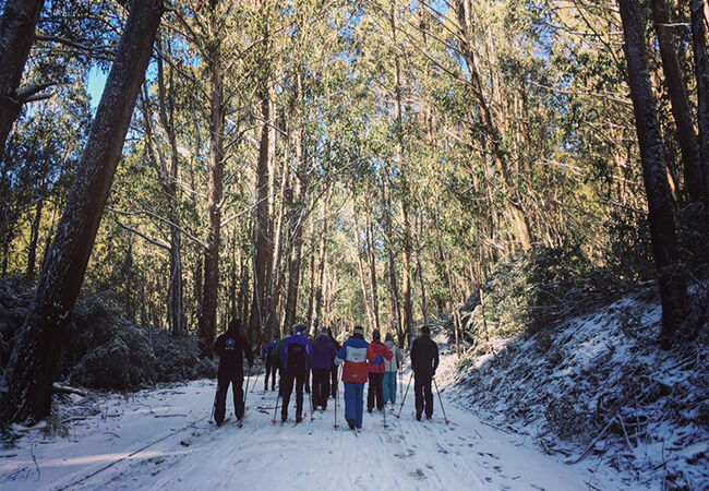 Backcountry Snowshoeing Skiing and Snowboarding at Mt Stirling