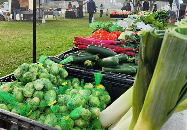 Mansfield Farmers Market