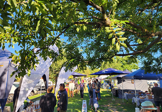 Mansfield Farmers Market