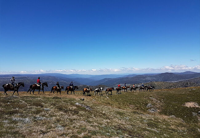 Mountain Valley Trail Rides