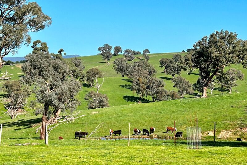 Victoria Police Alpine Club Merrijig